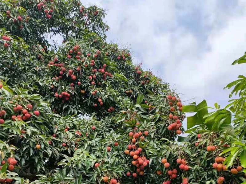 模具鋼材廠家 模具鋼材廠家