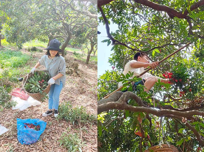 模具鋼材廠家 模具鋼材廠家